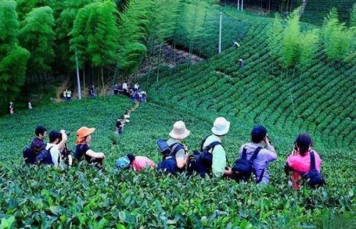 鄉村生活是中國未來稀缺的旅游資源